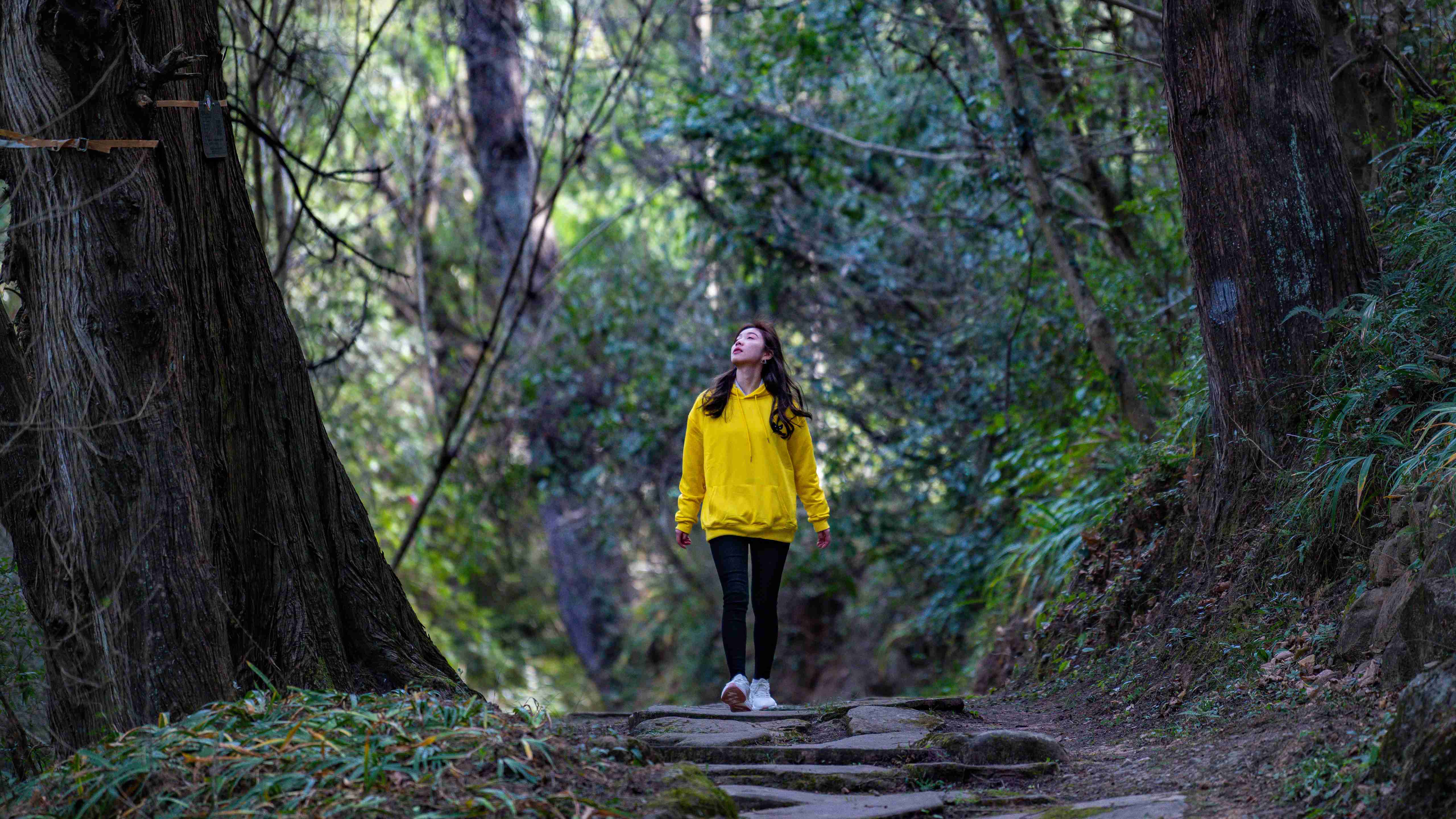 古蜀道——寻觅三千年众生的脚印